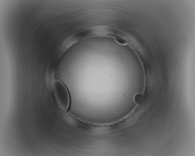 X0000114430889200910161333