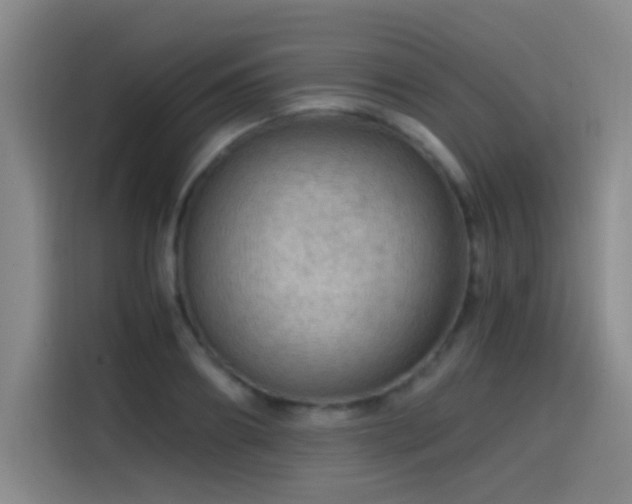 X0000114430890200910161333