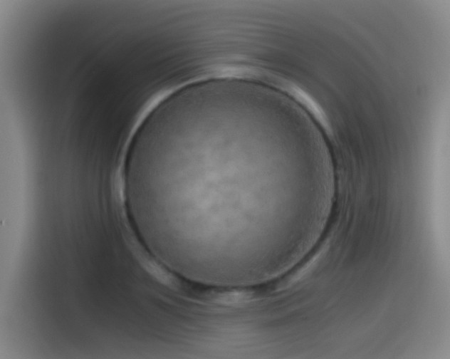 X0000114430891200910161333