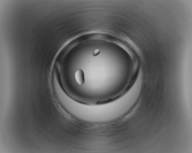 X0000114430892200910161333