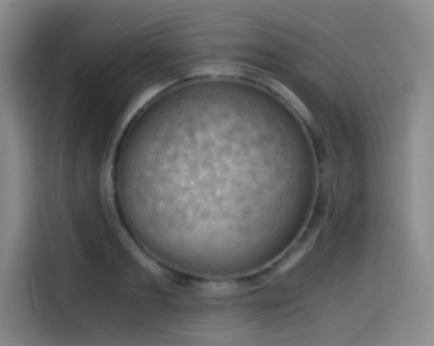 X0000114430893200910161333