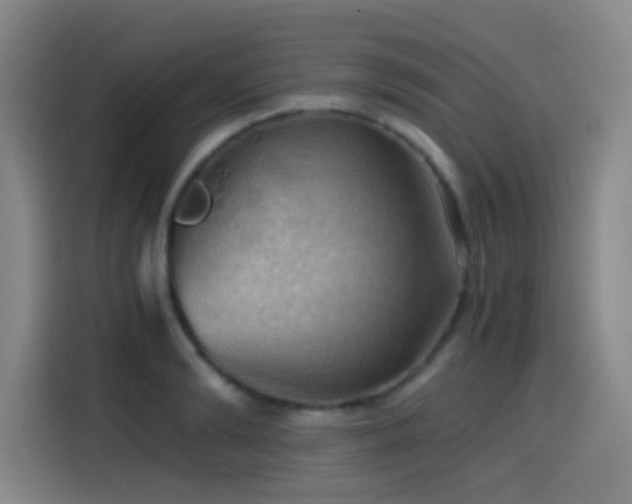 X0000114430894200910161333