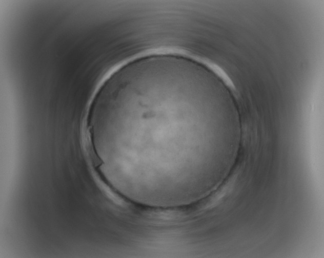 X0000114430895200910161333