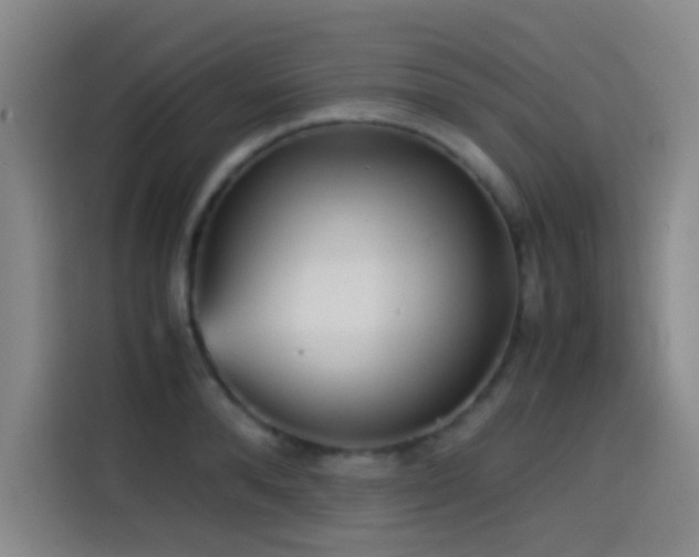 X0000114430896200910161333