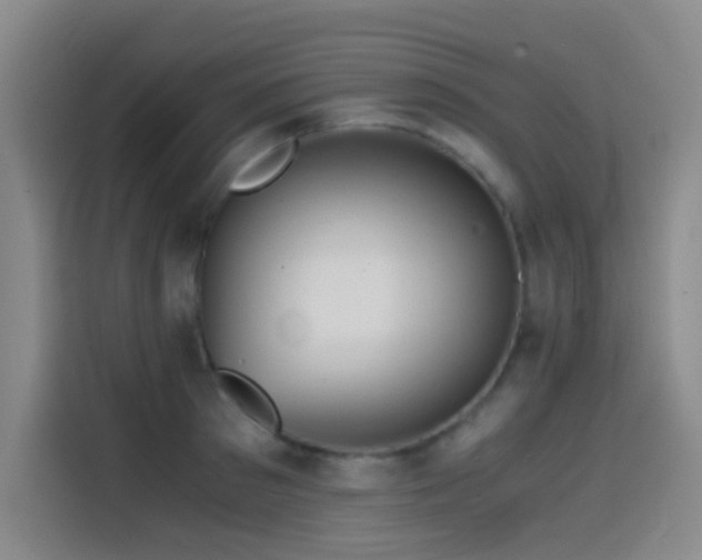 X0000114430897200910161333