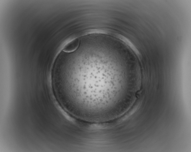 X0000114430898200910161333