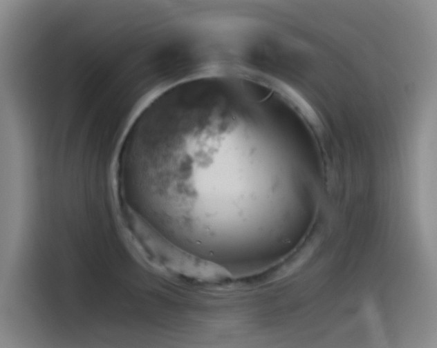 X0000114430899200910161333