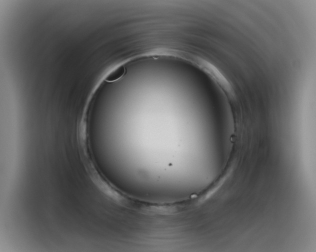 X0000114430900200910161333