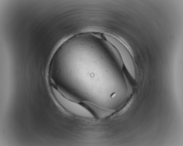 X0000114430901200910161333