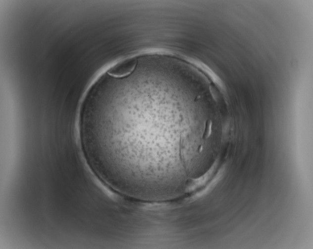 X0000114430902200910161333