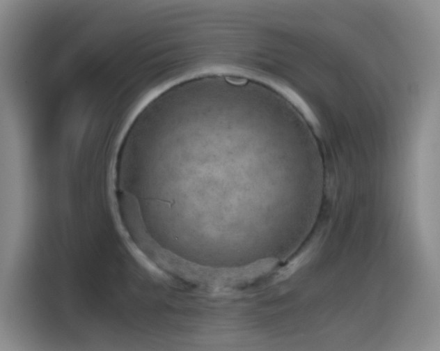 X0000114430903200910161333