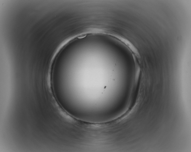X0000114430904200910161333