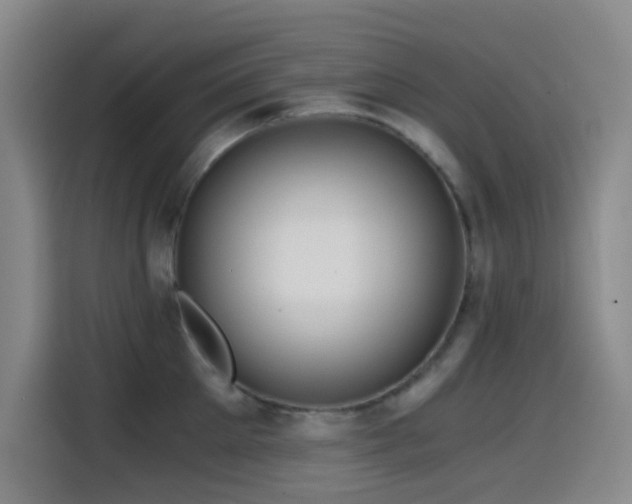 X0000114430905200910161333
