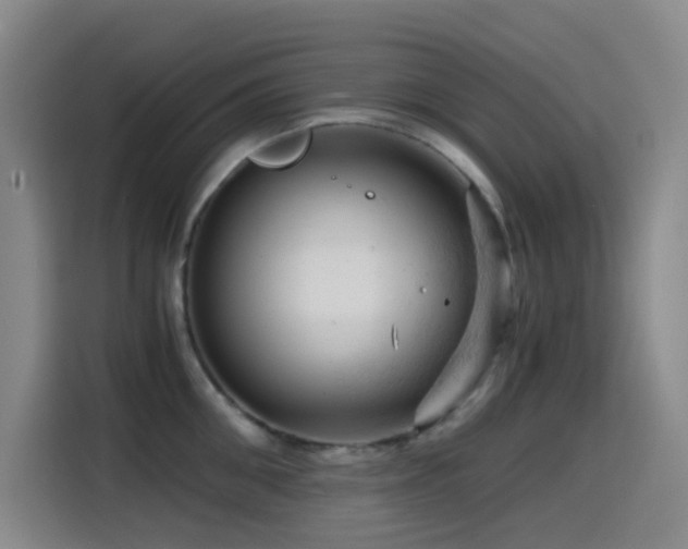 X0000114430906200910161333