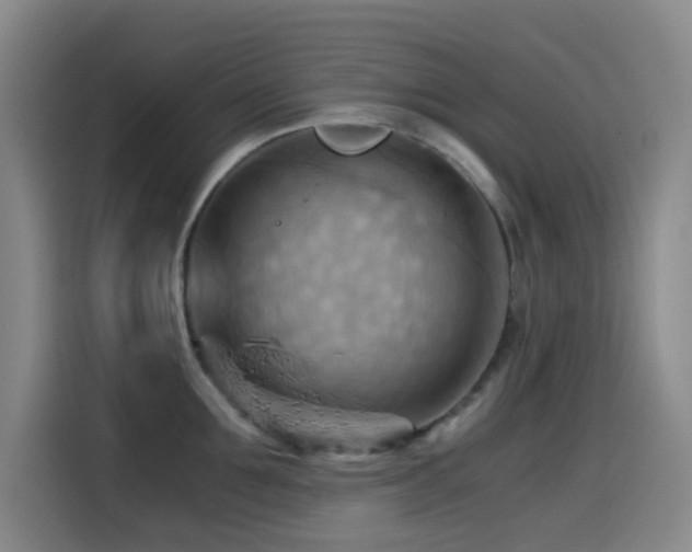 X0000114430907200910161332