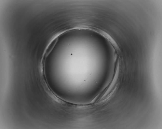 X0000114430908200910161332