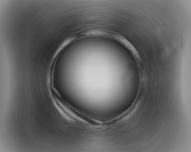 X0000114430909200910161332