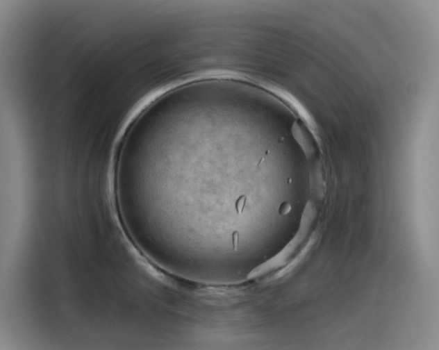 X0000114430910200910161332