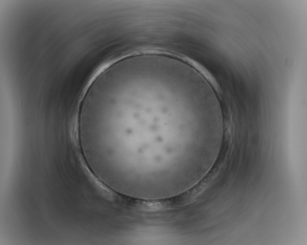 X0000114430911200910161332