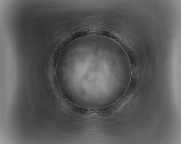 X0000114430913200910161332