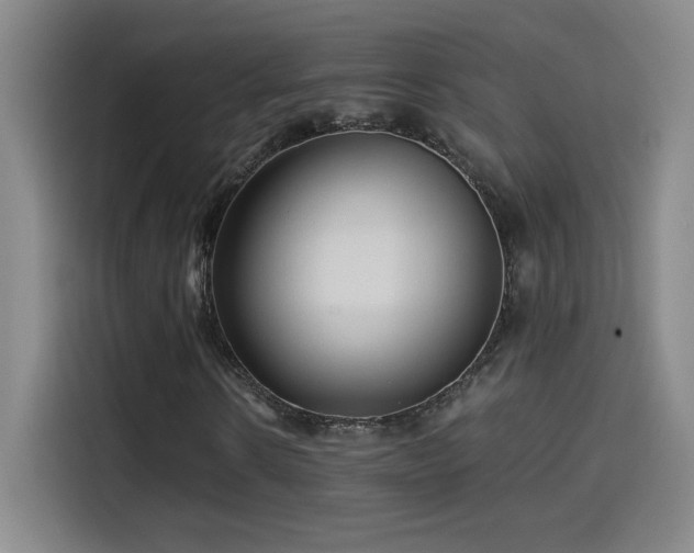 X0000114430914200910161332