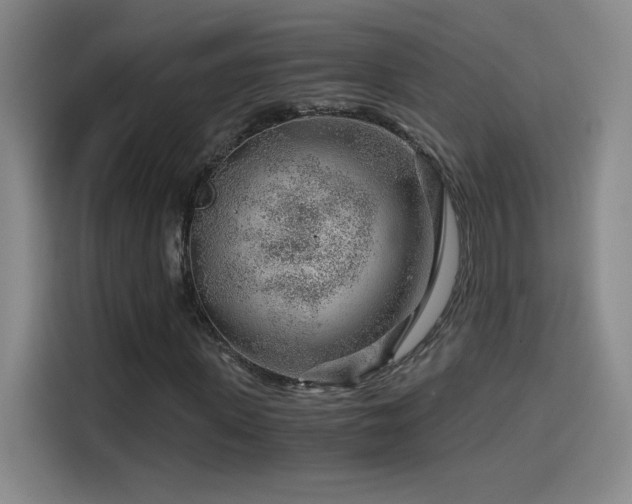 X0000114430915200910161332