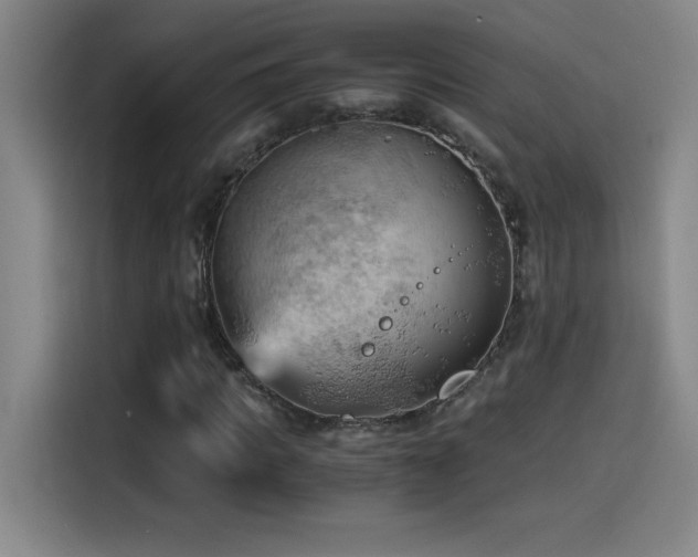 X0000114430917200910161332
