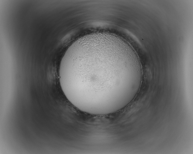 X0000114430918200910161332