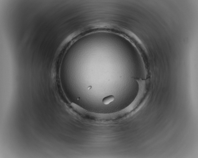 X0000114430922200910161332