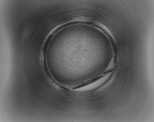 X0000114430923200910161332