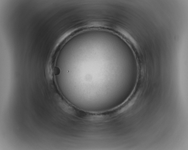 X0000114430925200910161332
