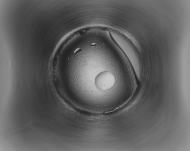 X0000114430926200910161332