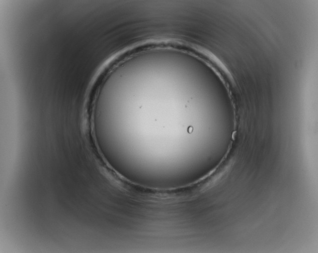 X0000114430927200910161332