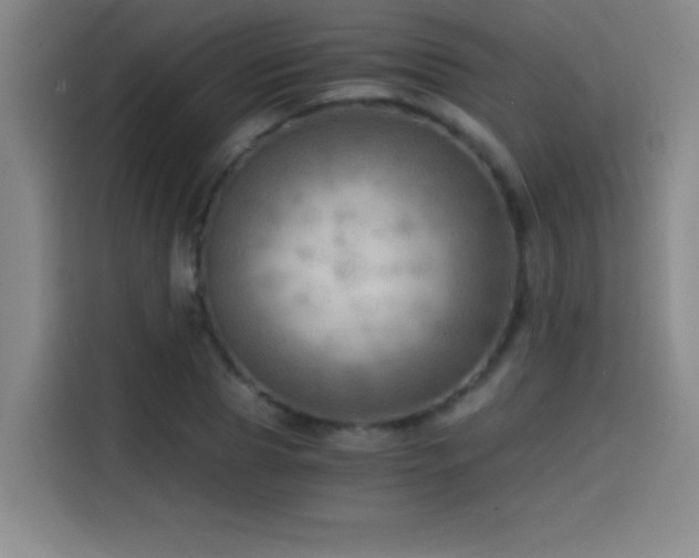 X0000114430929200910161332