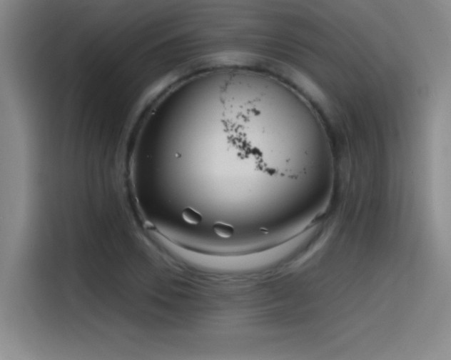 X0000114430930200910161332