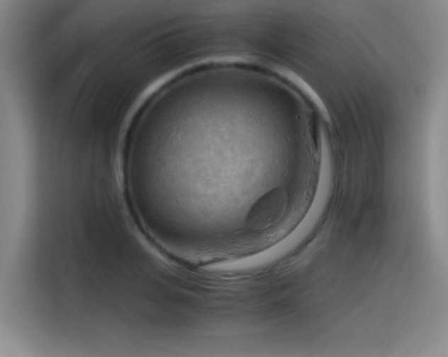 X0000114430935200910161332