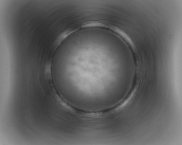 X0000114430937200910161332