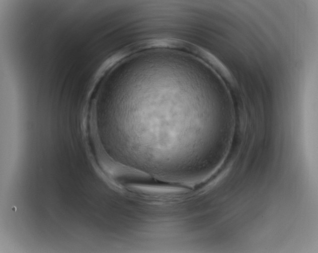 X0000114430938200910161332