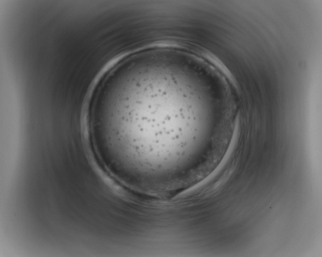 X0000114430939200910161332