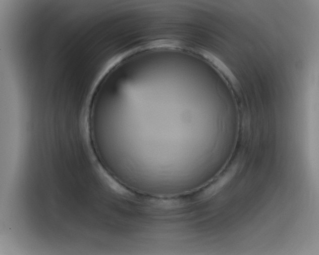 X0000114430941200910161332