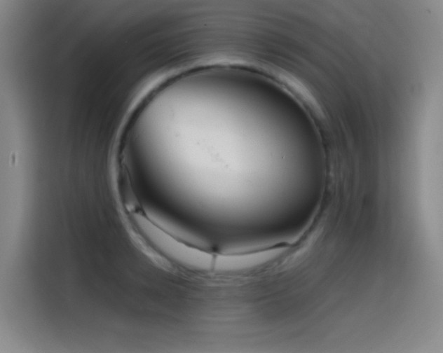 X0000114430942200910161332