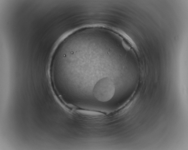 X0000114430943200910161332