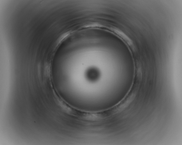 X0000114430945200910161332