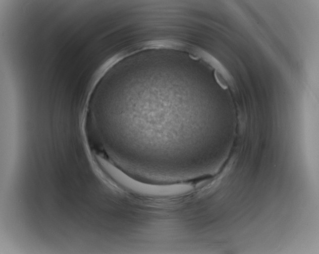 X0000114430946200910161332