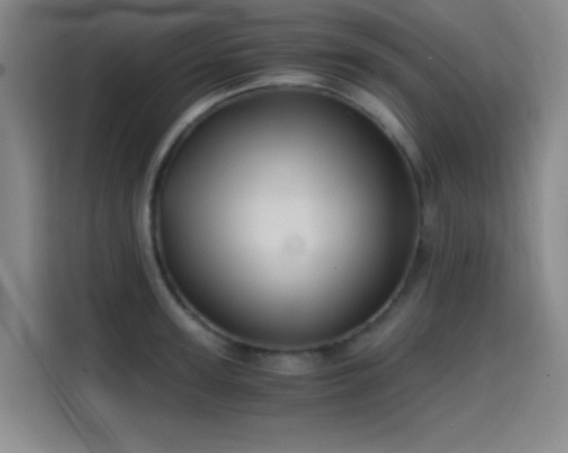 X0000114430947200910161332