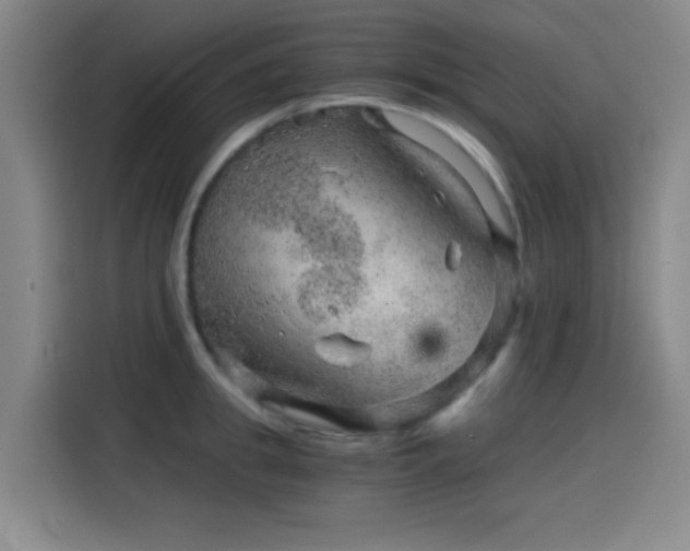 X0000114430949200910161332