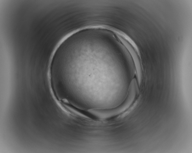 X0000114430951200910161332