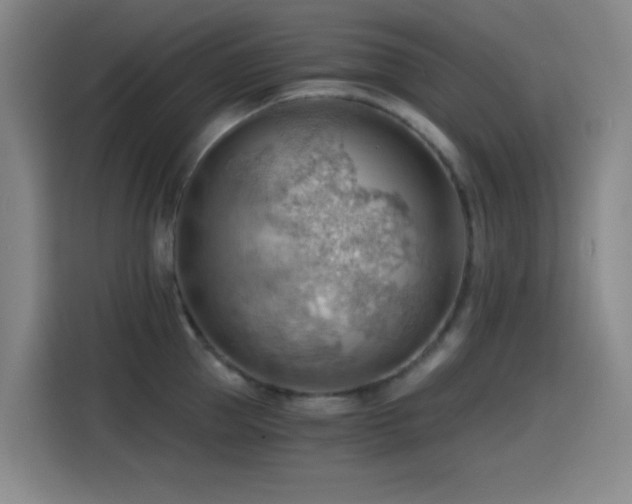 X0000114430953200910161332