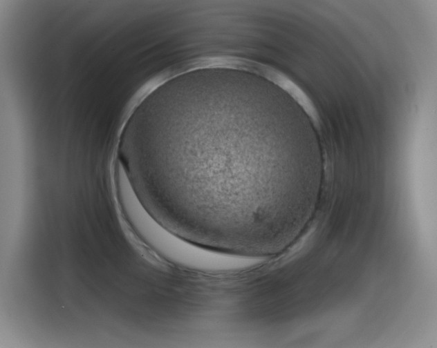 X0000114430954200910161332