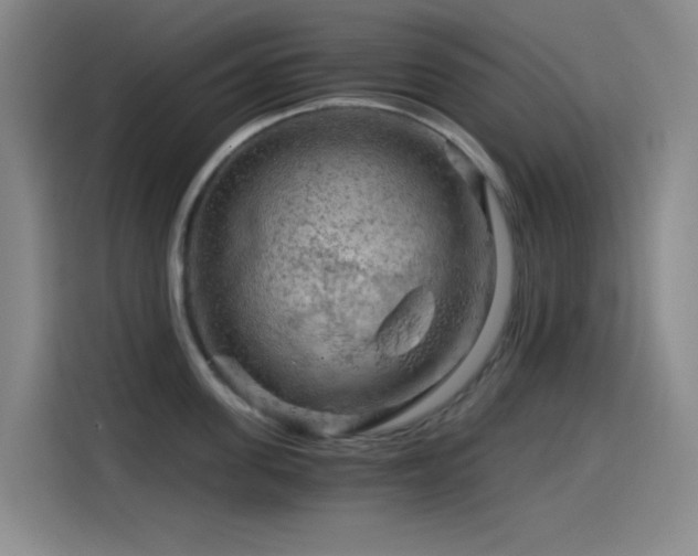 X0000114430955200910161332